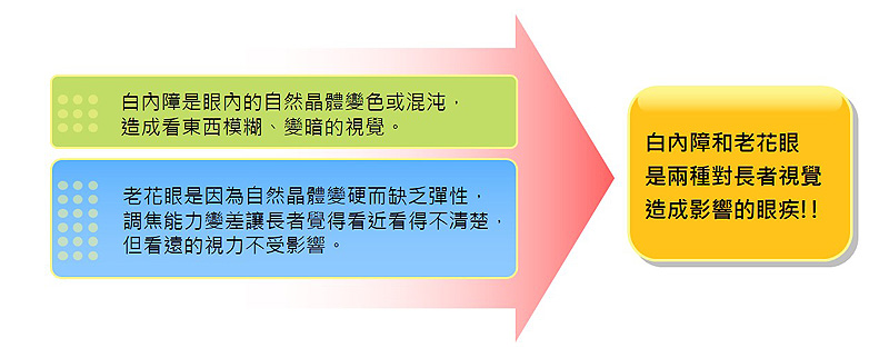 白內障和老花眼是兩種對長者視覺造成影響的眼疾