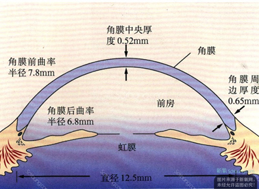 角膜厚度