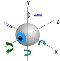 7D:瞳孔中心位移 追蹤