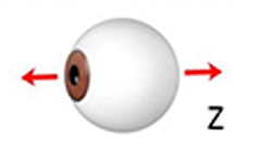 3D:眼球Z軸垂直移動 追蹤