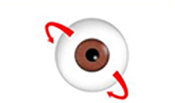 5D:眼球Y軸立體轉動 追蹤