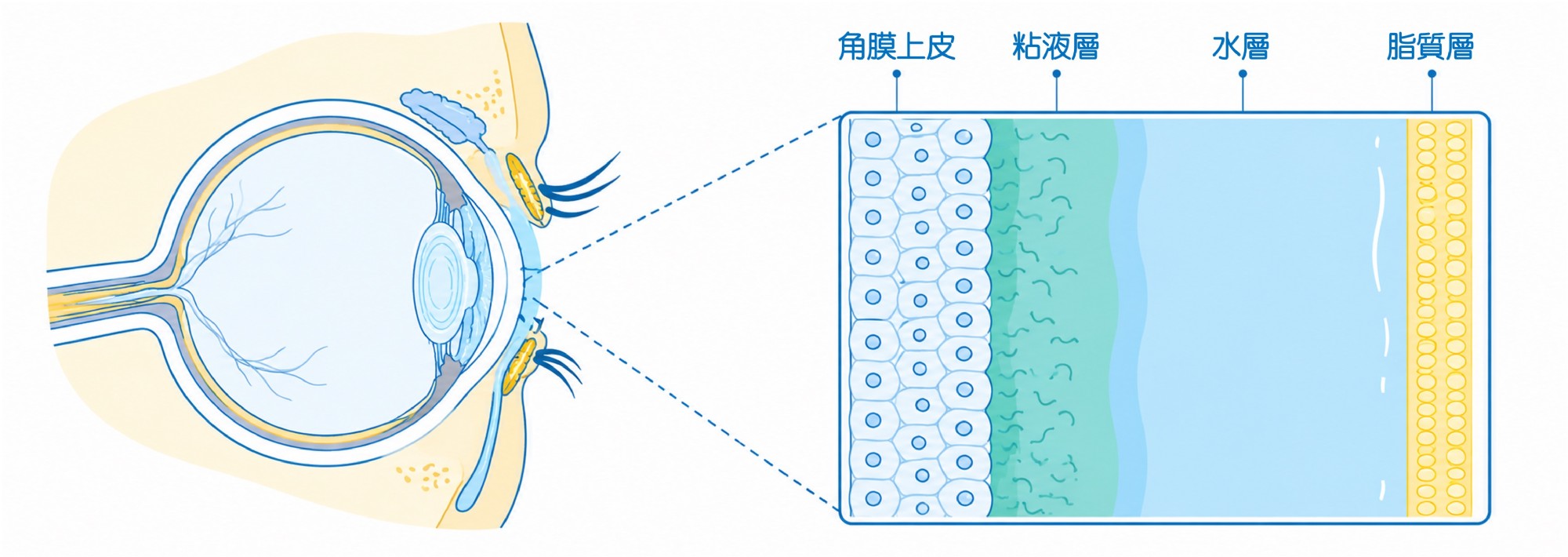 主視覺示意圖